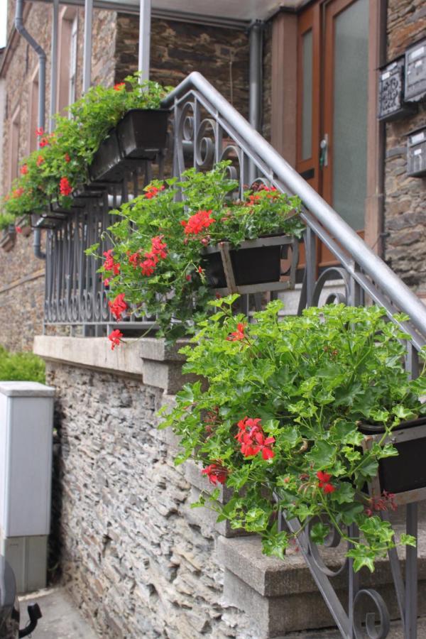 Ferienwohnung Moselloft Zeltingen-Rachtig Exterior foto