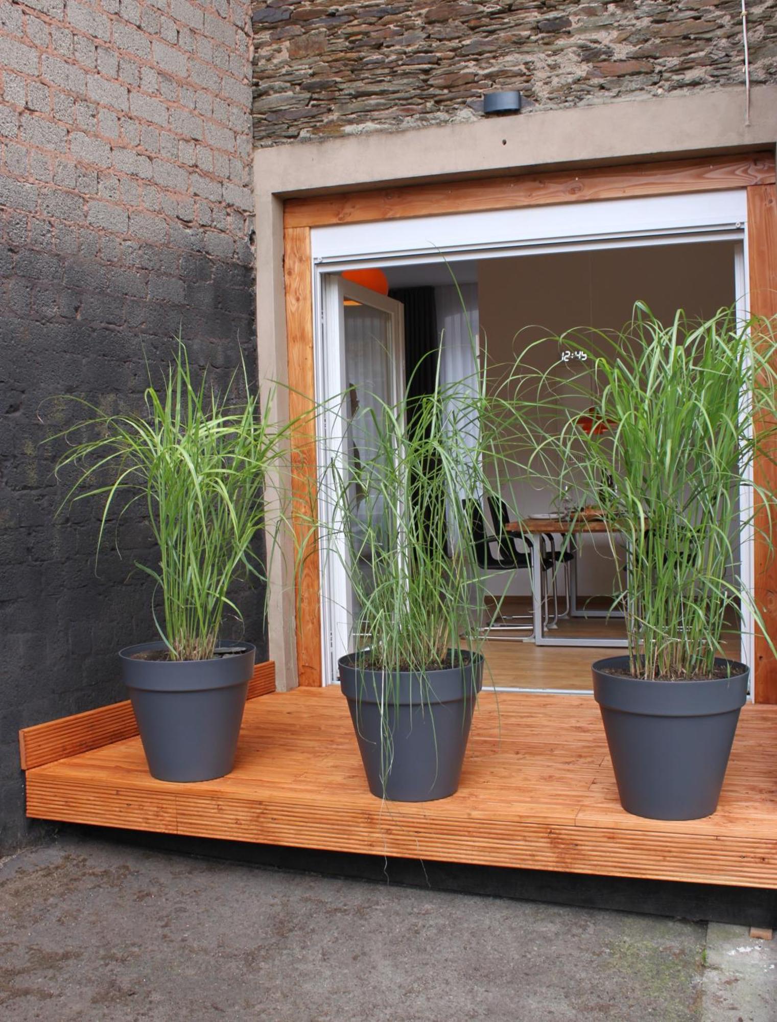Ferienwohnung Moselloft Zeltingen-Rachtig Exterior foto